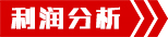 利润分析